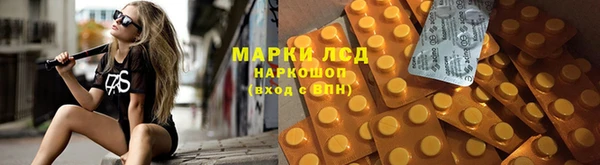 PSILOCYBIN Алексин