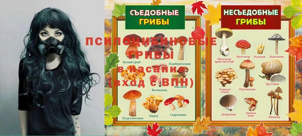 a pvp Алзамай
