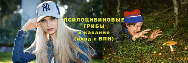 a pvp Алзамай