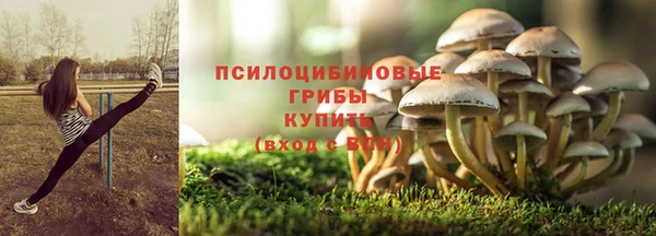 PSILOCYBIN Алексин