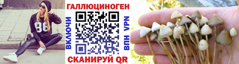 Псилоцибиновые грибы мухоморы  Чебоксары 